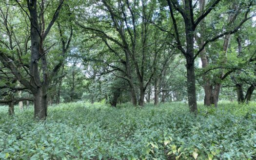 Land off Dell Lane, Little Hallingbury