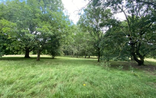 Land off Dell Lane, Little Hallingbury