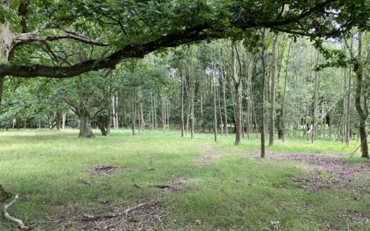 Land off Dell Lane, Little Hallingbury