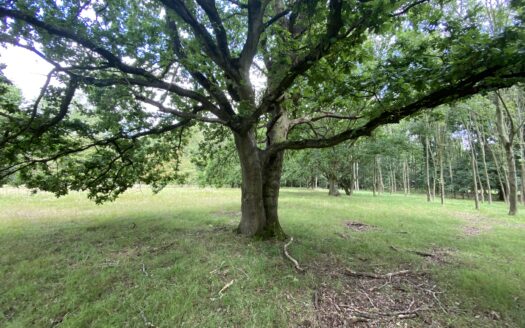 Land off Dell Lane, Little Hallingbury