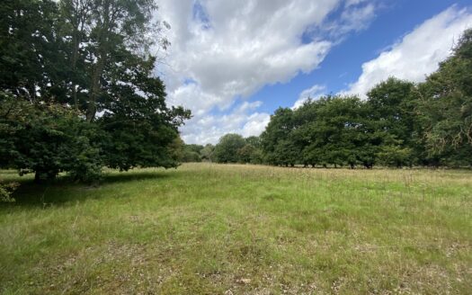Land off Dell Lane, Little Hallingbury