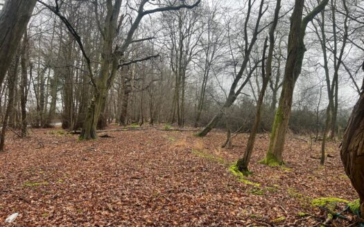 Land South of Newgate Street, Hertfordshire