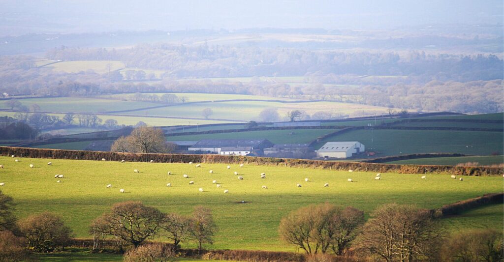 Countryside Stewardship Higher Tier 2025 is open
