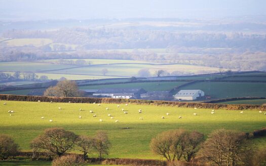 Countryside Stewardship Higher Tier 2025 is open