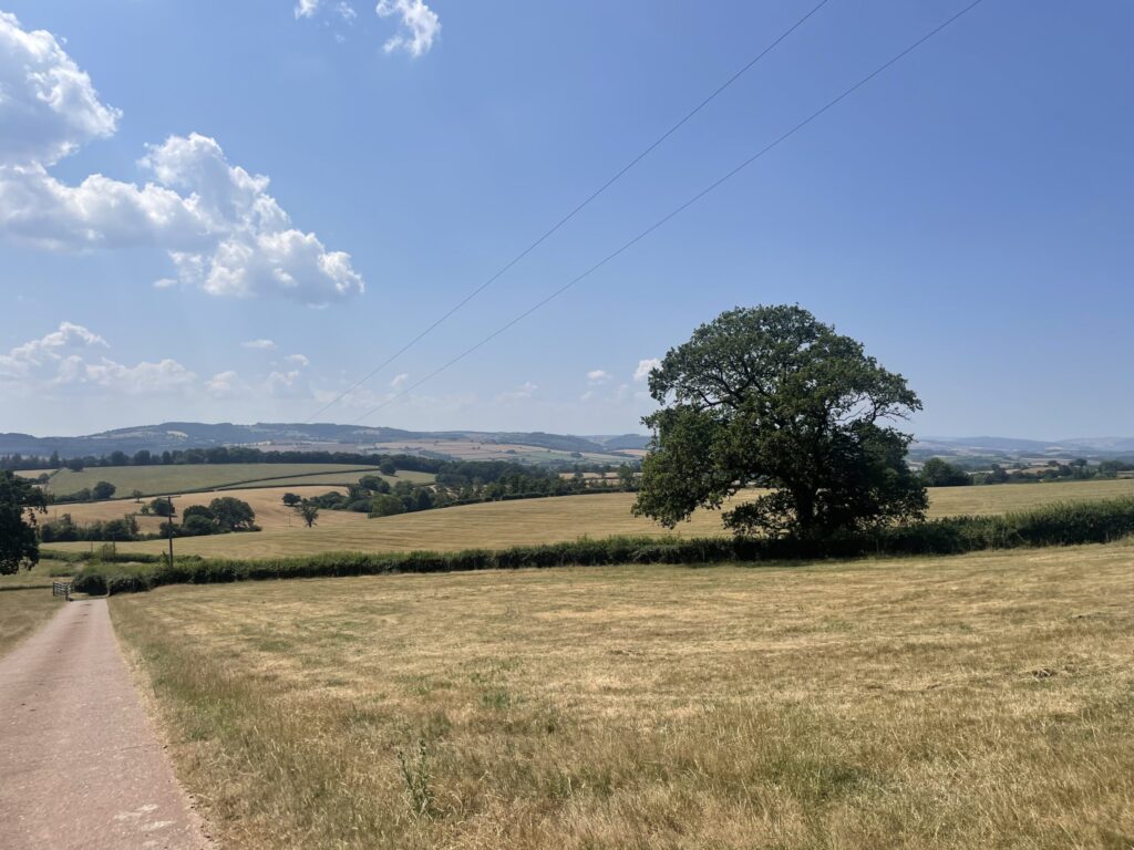 New Drought Support for Farmers