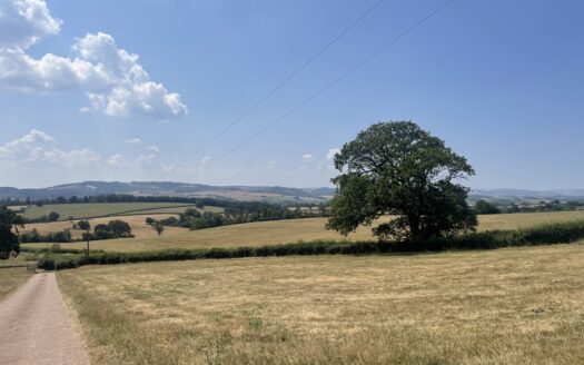 New Drought Support for Farmers